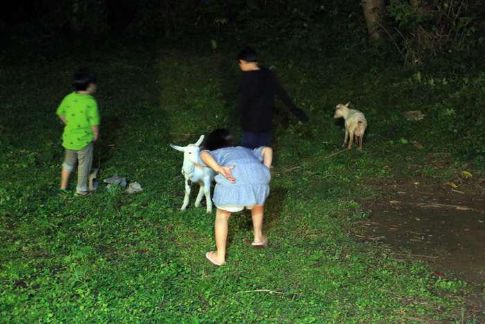 b0049152_8255340.jpg