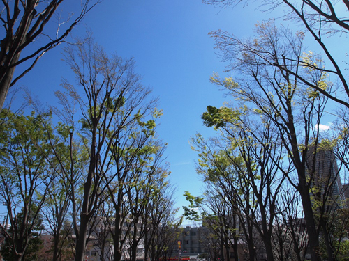 f0216353_0325384.jpg