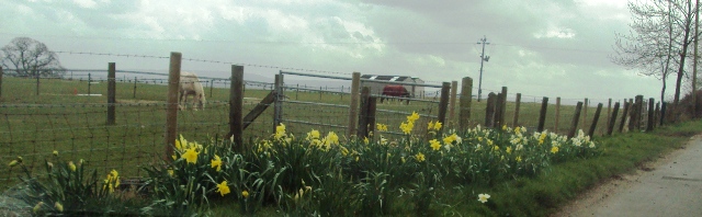 e0010856_6391122.jpg
