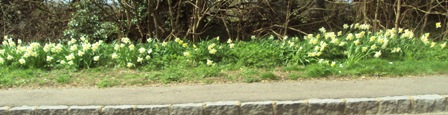 e0010856_641789.jpg