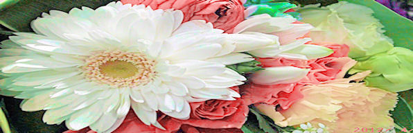c0050857_2112373.jpg