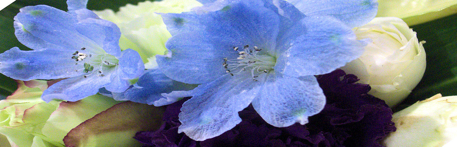 c0050857_2121689.jpg