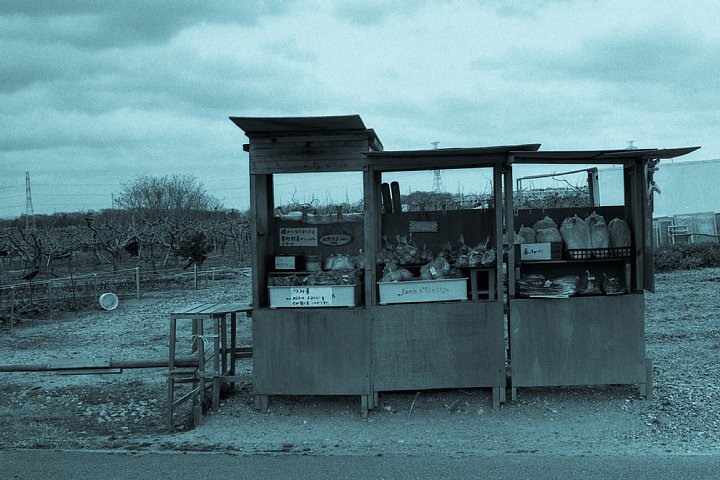 b0175964_2049737.jpg