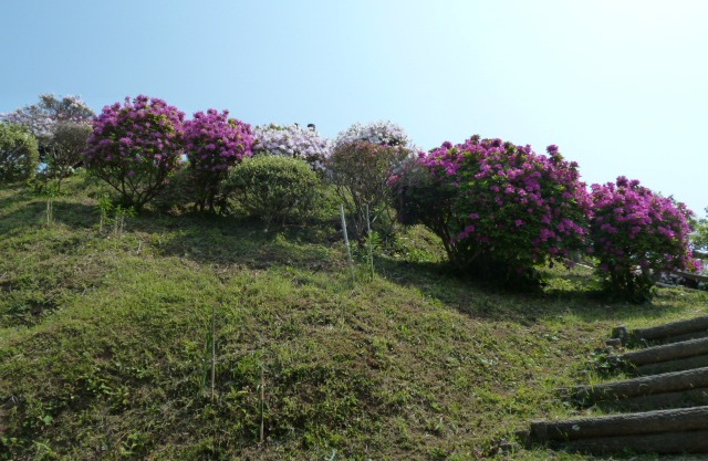 e0278968_23104144.jpg