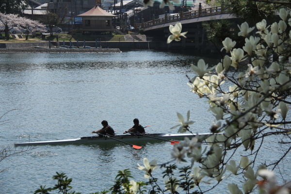 b0055171_22531580.jpg