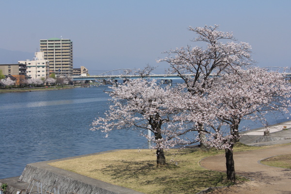 b0055171_225485.jpg