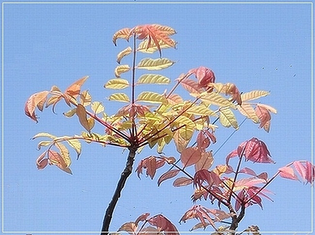 e0143690_11232936.jpg
