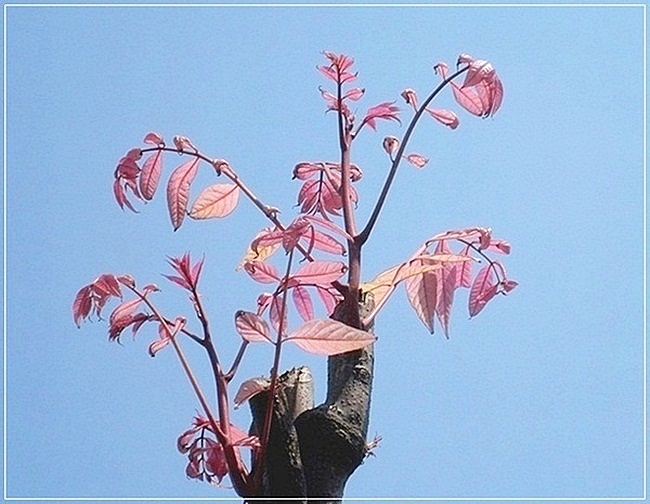 e0143690_11233671.jpg