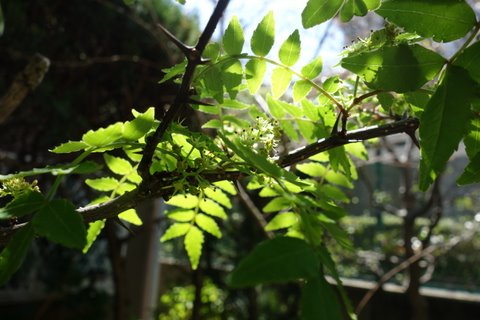 f0137694_8183730.jpg