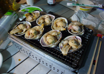 c0125996_14471785.jpg