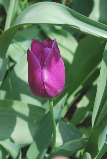 e0025300_2043336.jpg