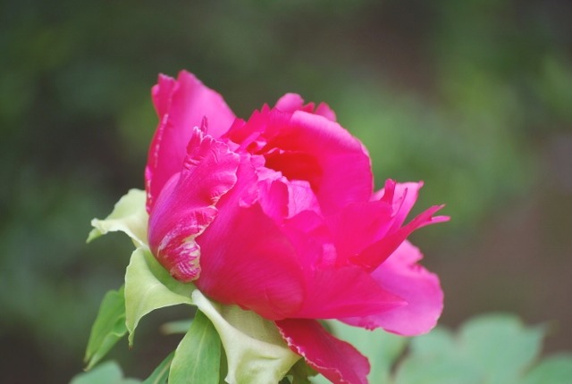 e0025300_2053101.jpg