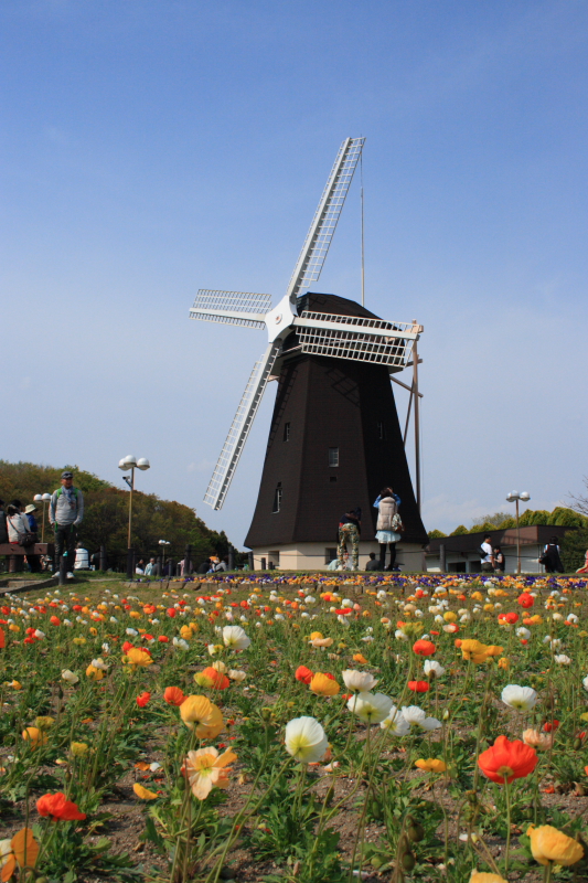 f0083400_21445033.jpg