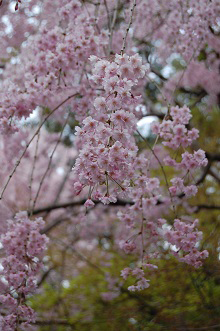 b0189603_1623810.jpg