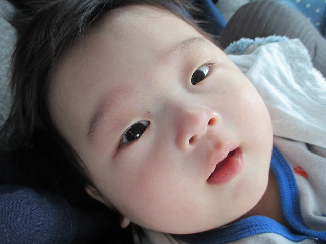 f0202703_22323480.jpg