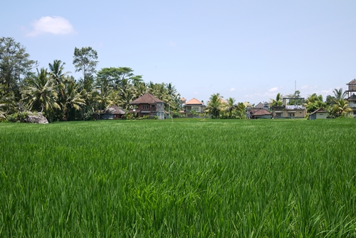 d0133704_15305824.jpg