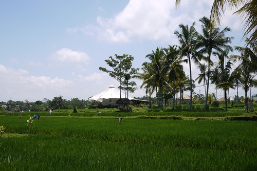 d0133704_15322380.jpg
