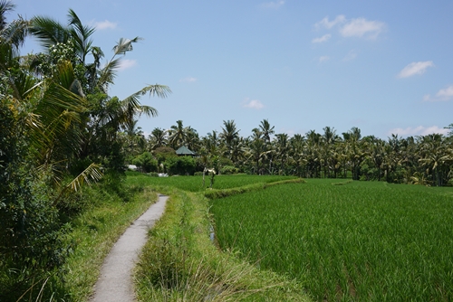 d0133704_15363850.jpg