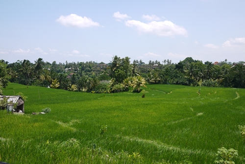 d0133704_15391315.jpg