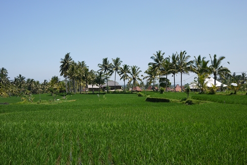 d0133704_1652836.jpg