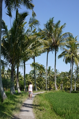d0133704_1665720.jpg