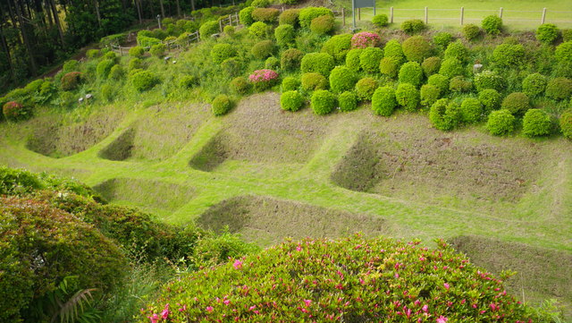 a0116205_21565135.jpg