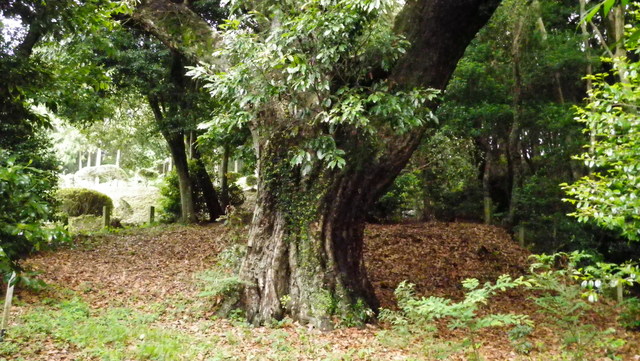 a0116205_21573149.jpg