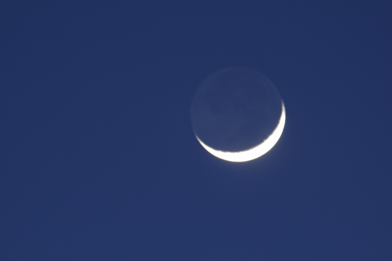 a0188405_1453941.jpg
