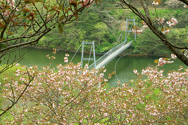 b0014607_844054.jpg