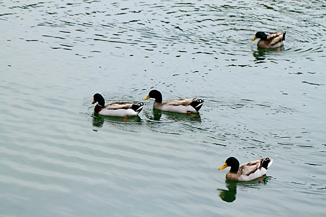 b0014607_844151.jpg