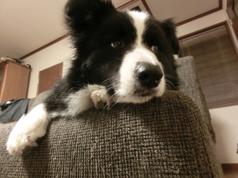 b0239909_22241569.jpg