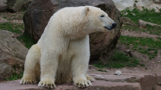 a0151913_22535147.jpg