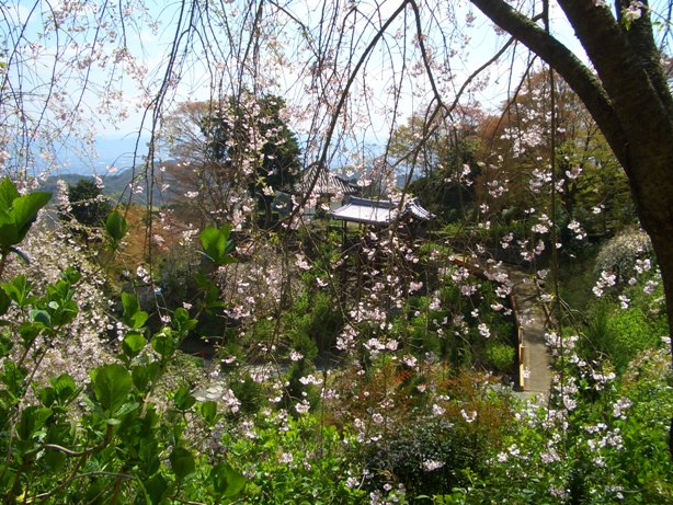 e0033713_9203399.jpg