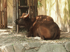 e0098223_1334777.gif