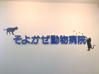 f0222527_659452.jpg