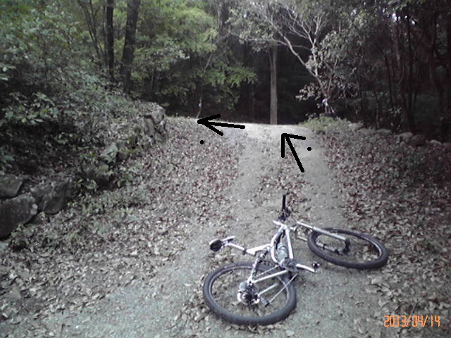 b0222530_745639.jpg