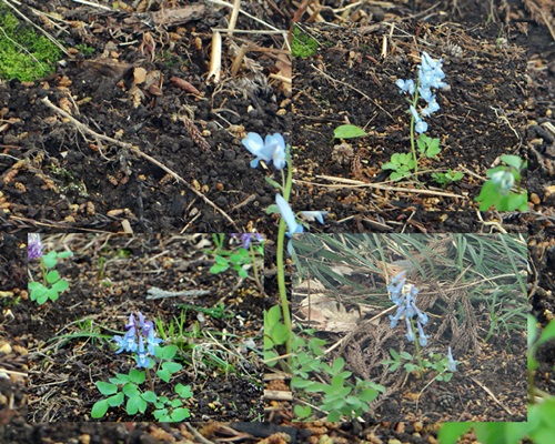 d0037233_10271192.jpg