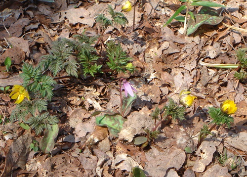 d0037233_10313617.jpg