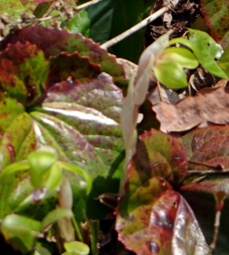 d0037233_10345470.jpg