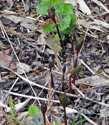 d0037233_10372558.jpg