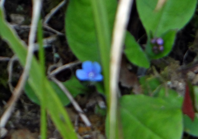 d0037233_1037631.jpg