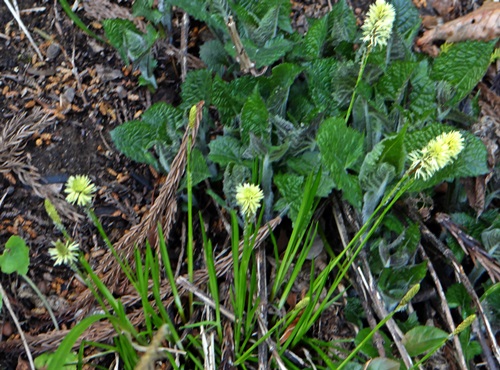 d0037233_108029.jpg