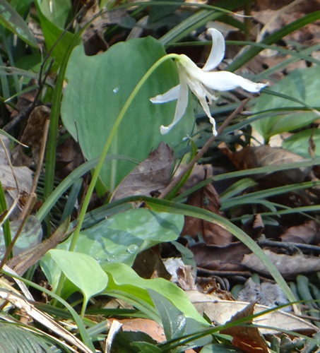 d0037233_9471151.jpg