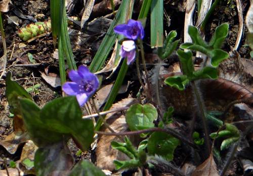 d0037233_949109.jpg
