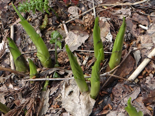 d0037233_9514030.jpg