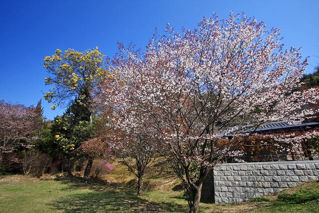 a0242438_20103590.jpg