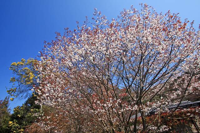 a0242438_20104414.jpg