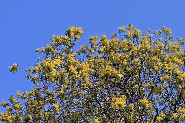 a0242438_20105536.jpg