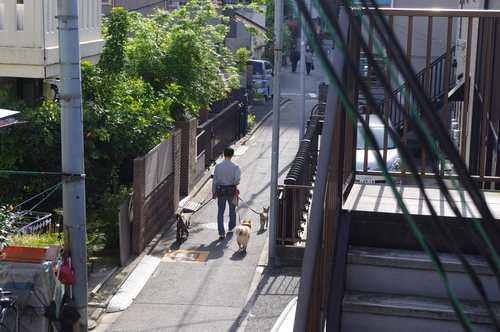 c0266644_17181357.jpg