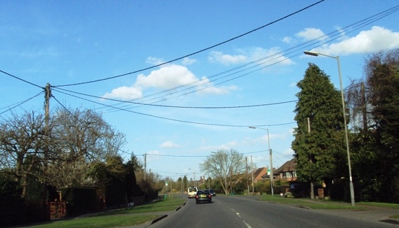 e0010856_8593173.jpg